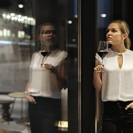 法兰克福宜必思中心酒店 美因河畔法兰克福